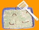 Kitty Litter Cake
