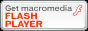 Macromedia Flash Player 8 Required