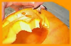 Its fun to carve a pumpkin