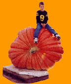 Giant pumpkin