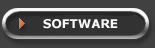 Software Services