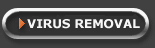 Virus Removal Services