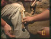 Hobbit Shinbone Comparison to Homosapien