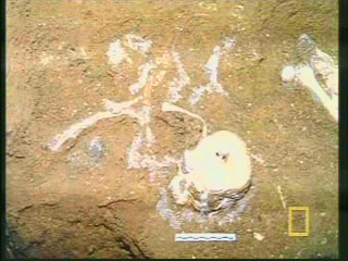 Images of the original excavation of the Hobbit
