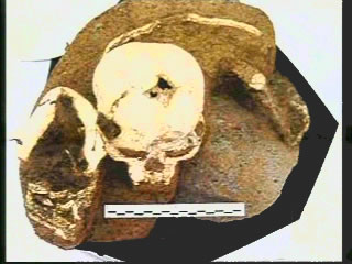 Images of the original excavation of the Hobbit