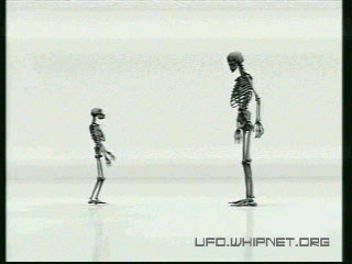 A comparison showing the difference in height between the Hobbit and Homosapiens