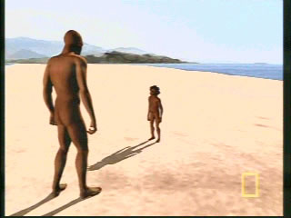 A comparison showing the difference in height between the Hobbit and Homosapiens