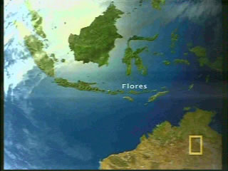 Global locational view