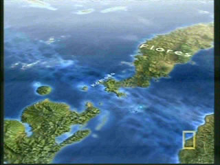 Global location of Flores
