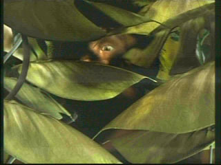 Hobbit was scared to be seen