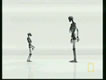 Homosapien vs Hobbit skeletons