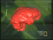 Hobbit Brain