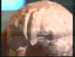 Hobbit Brain physical Area 10