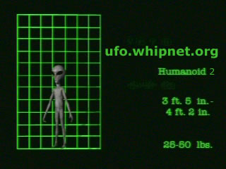 Humanoid alien