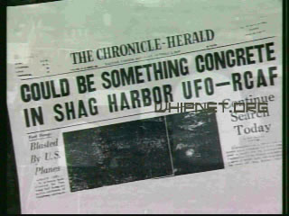 shag harbour