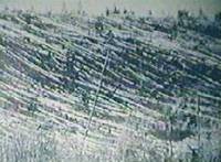 Tunguska Event