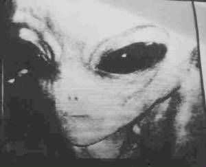 Gray Alien