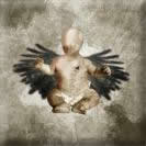 Fallen Angel