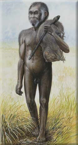 Hobbit | Homo Floresiensis