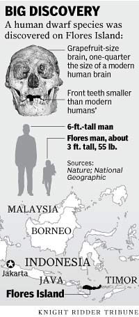 Homo Floresiensis Remains Found