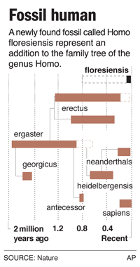 Human Fossil Homo Floresiensis