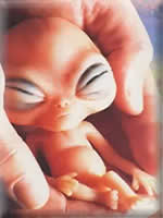 Alien Baby