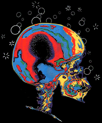 Montauk Brainwash