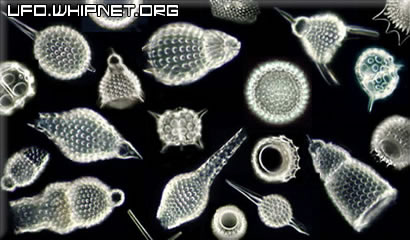 Silicon Based Multi-Cells