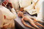 Roswell Alien